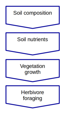 Influence of termite mounds